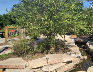 Bison’s Bluff Nature Playground Schaumburg IL